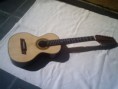 Viola Caipira Sr_Jorge